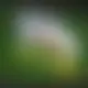 Zagraj Let It Ride z Playtech w {"id":2,"name":"Energy Casino","design":{"logo":"energy-casino-logo.Miy6aT.svg","favicon":"energy-casino-favicon.f3v0Fo.png","banner_poker":"energy-casino-poker.Xnfi22.webp","banner_mobile":"energy-casino-mobile.FxGDk8.webp","block_bg_color":"#d4d4d4","image_bg_color":"#666","banner_bg_color":"#450a0a","primary_bg_color":"#f9fafb","banner_text_color":"#fff","footer_logos_type":"black","block_round_radius":"0.5rem","primary_text_color":"#000","button_round_radius":"0.25rem","banner_welcome_bonus":"energy-casino-welcome-bonus.V2ILSx.webp","energy-casino-mobile":"energy-casino-mobile.PlOYWN.webp","primary_button_bg_color":"#facc15","primary_button_text_color":"#000","secondary_button_bg_color":"#313537","secondary_button_text_color":"#fff"},"created_at":"2025-05-14T09:25:22.000000Z","updated_at":"2025-05-14T09:25:22.000000Z","deleted_at":null}